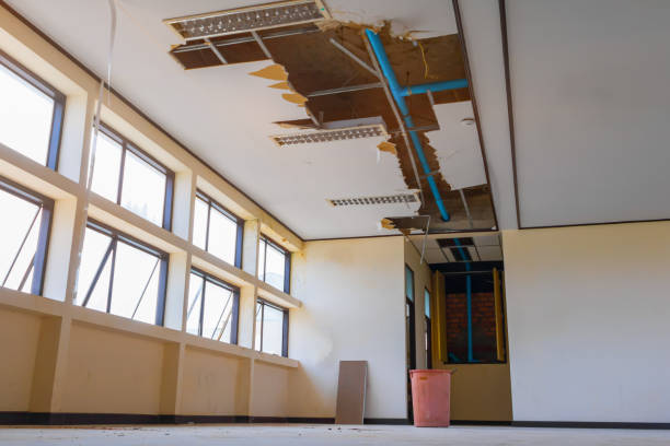 Best Residential water damage restoration  in Untain View, MO