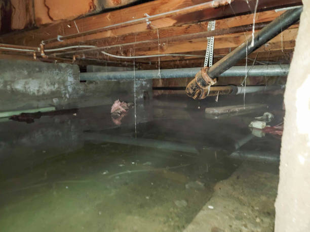 Water damage restoration insurance claims in MO