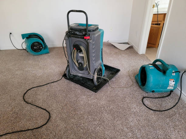 Best Commercial water damage restoration  in Untain View, MO