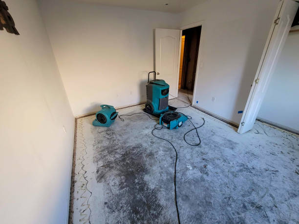 Best Carpet water damage restoration  in Untain View, MO