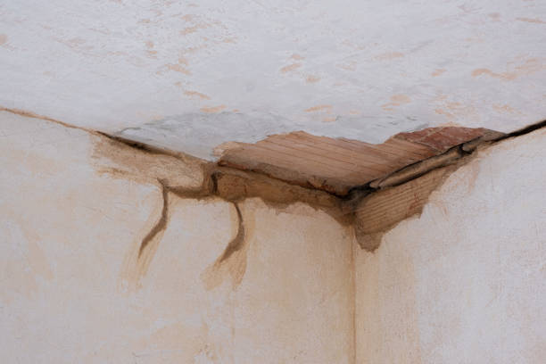 Best Fire Damage Restoration  in Untain View, MO