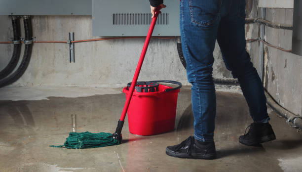 Best Water damage restoration specialists  in Untain View, MO