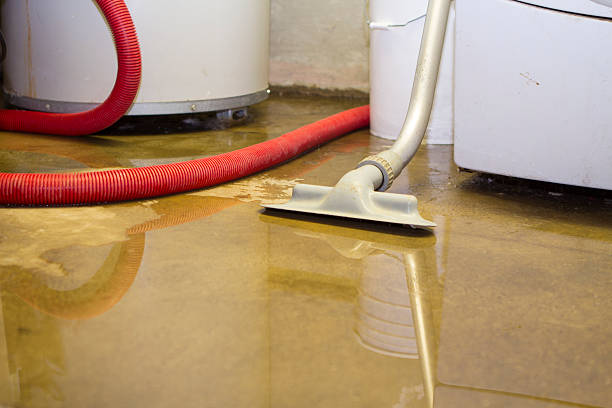 Best Commercial water damage restoration  in Untain View, MO