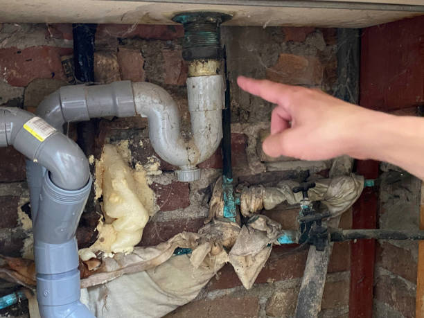 Best Sewage cleanup and water damage restoration  in Untain View, MO