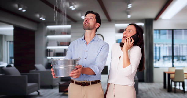 Best Water damage restoration near me  in Untain View, MO